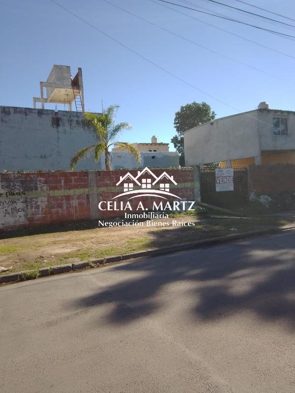 Imagen 3